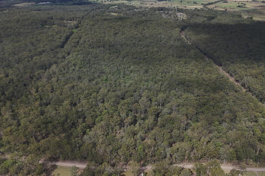 Bushland Bliss
