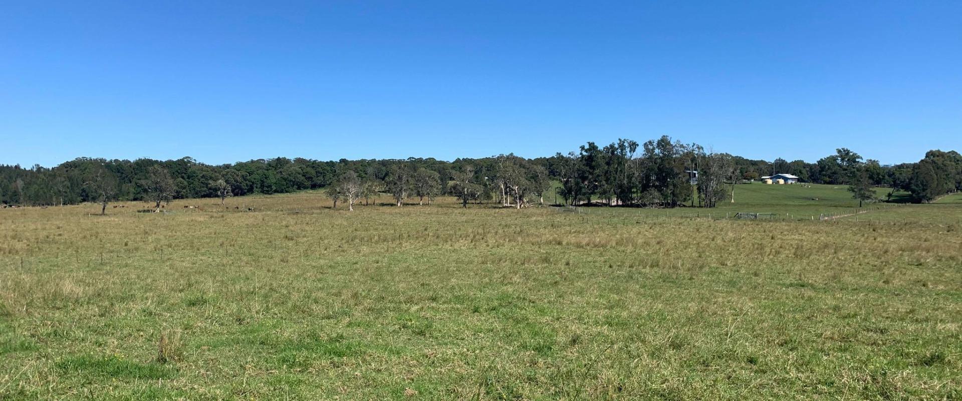 Kempsey Stock and Land Acres at Old Station