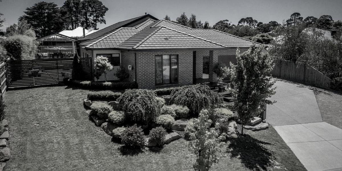 CONTRACTS SIGNED. Entertainer's paradise