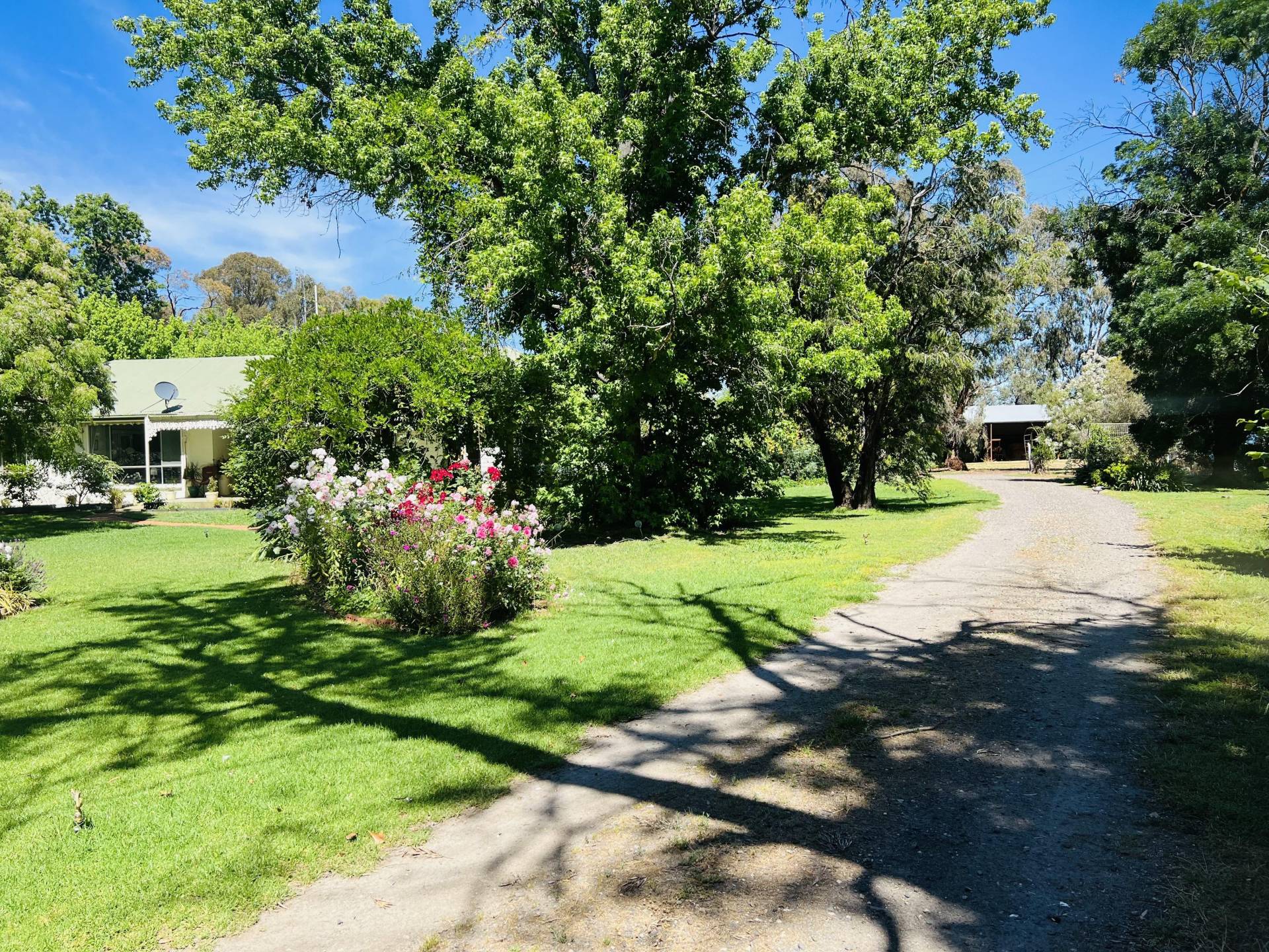 651 Jerilderie Road, Berrigan - Image 1