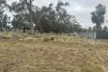BLOCK OF LAND READY FOR YOU TO BUILD YOUR DREAM HOME