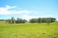 158 ACRES WITH VIEWS