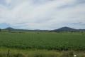 CEDAR POINT - KYOGLE