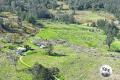 GREEN PIGEON FARM