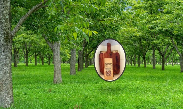 'RIVERSIDE" ORGANIC FARM