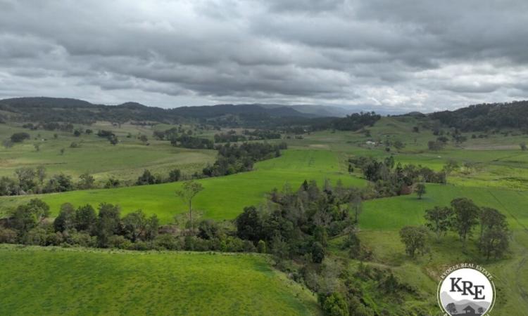 NORTH COAST BREEDER PROPERTY