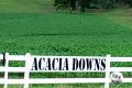 "ACACIA DOWNS" - 420 ACRES