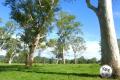 “MILLPARK” – 260 ACRES ON THE RICHMOND RIVER