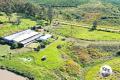 A FARM WITH MANY OPPORTUNITIES