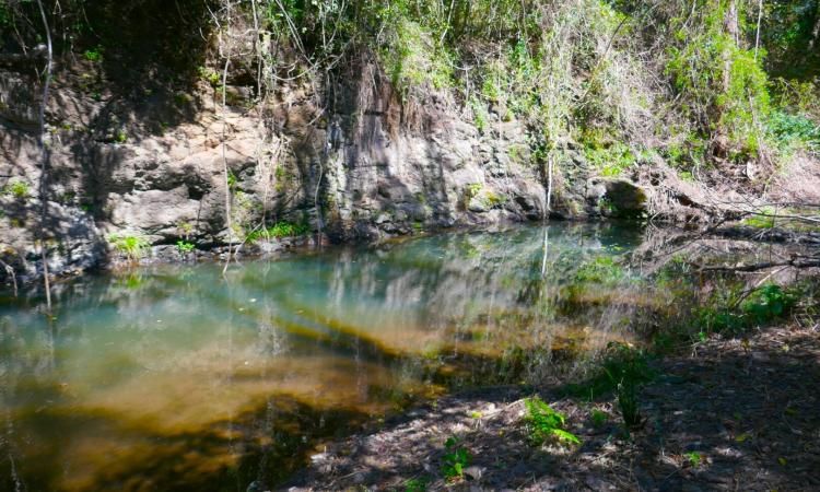 211 ACRE GETAWAY
