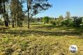 LARGE VACANT LAND