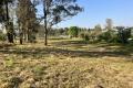LARGE VACANT LAND SO CLOSE TO TOWN