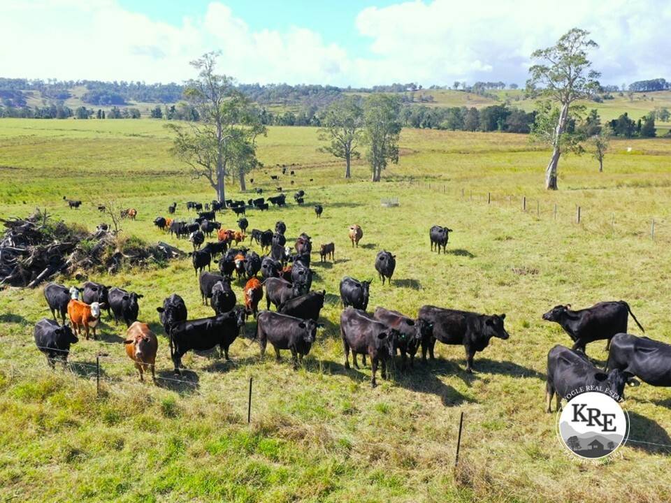 603 Knights Road, Kyogle - Image 1