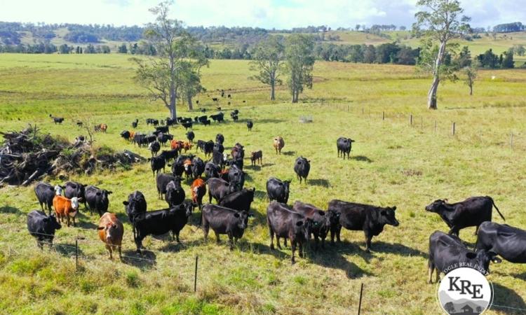 LIVESTOCK, CROPPING & IRRIGATION