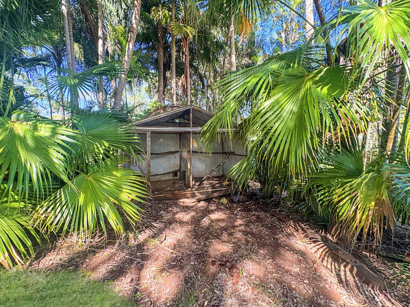 225 Wender Rd, Kyogle - Thumbnail 8
