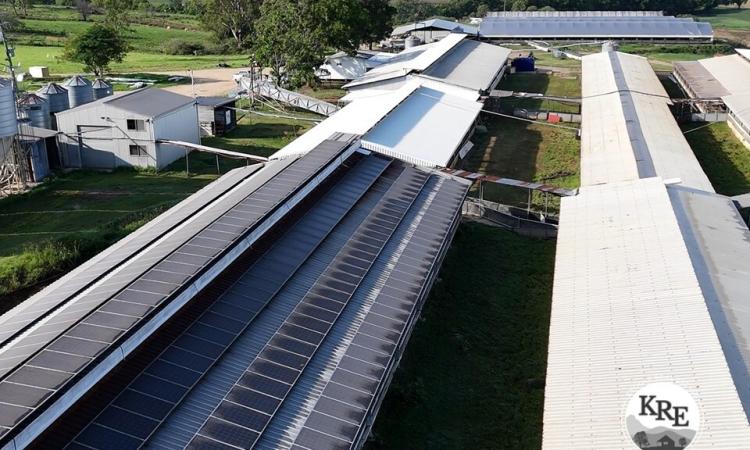EXPRESSIONS OF INTEREST - “GLENGOWRIE” & “JACKSONS FLAT” PIGGERY AND LIVESTOCK PROPERTIES