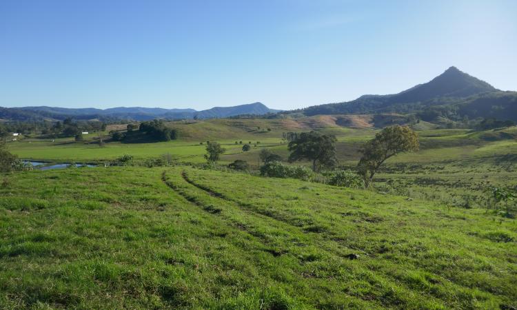 “GLENGOWRIE”  454 ACRES AT KYOGLE