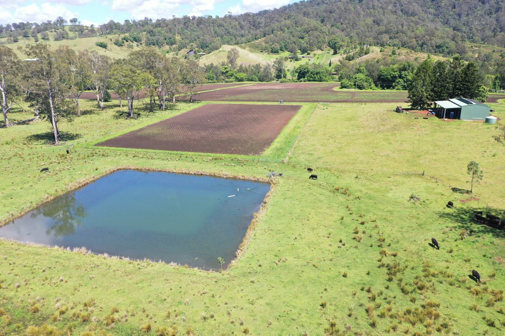 Lot 1 Sherwood Road, Kyogle - Image 1