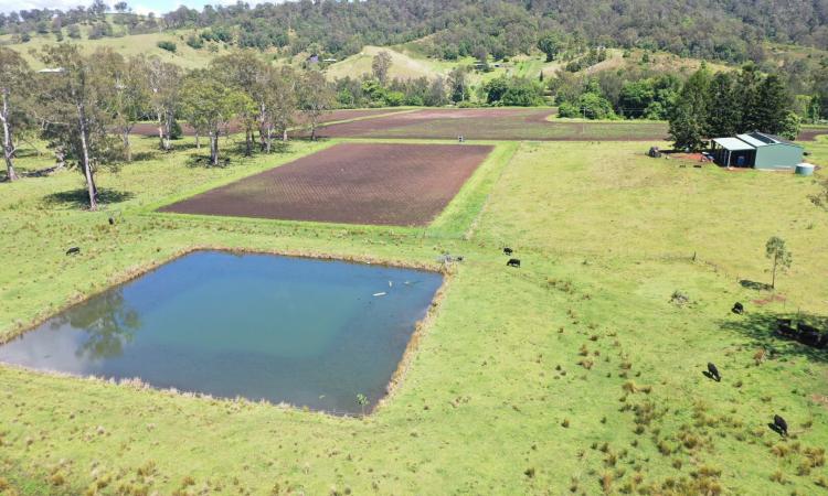 IRRIGATION & LIVESTOCK PROPERTY
