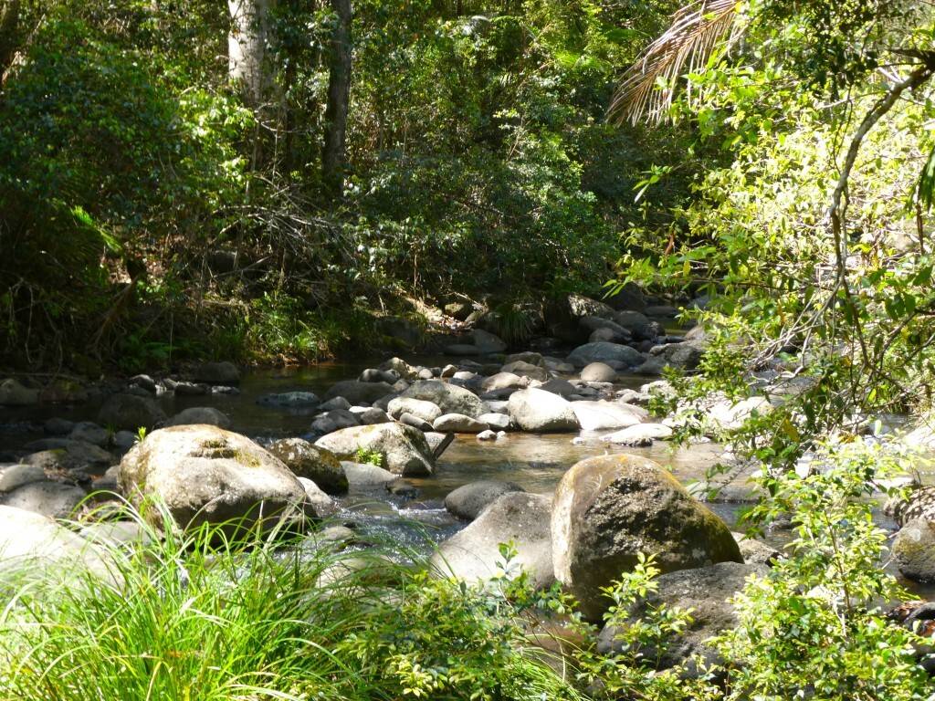 422 Main Creek Road, Kyogle - Image 1