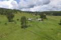 Fullfill your Rural Dreams on 5 Acres