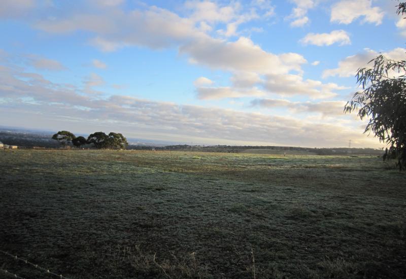 BUILD YOUR DREAM HOME TODAY