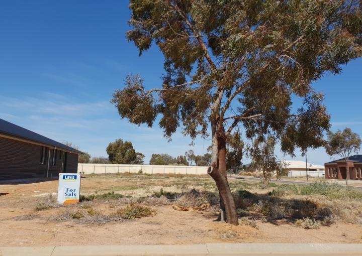 8 Peterson Circuit, Port Pirie