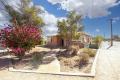 Renovator’s Delight on a Generous Corner Allotment