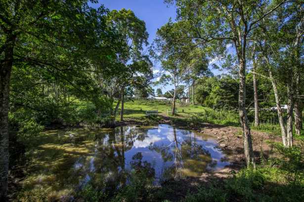 1 Acre Grazing Block - INVESTORS DELIGHT !