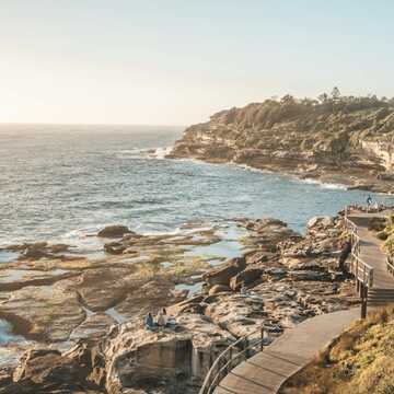 Mandy Williams testimonial image