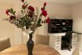renovated 1bedroom in a great location for rent