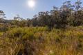 41 ACRES OF PARADISE!