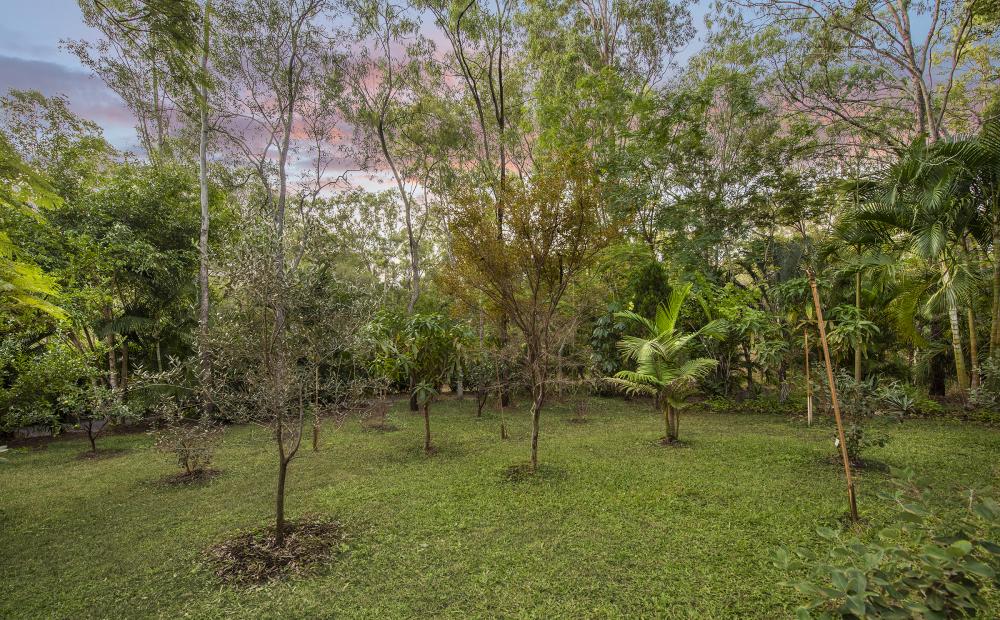 29-35 Chianina Ct, Tamborine