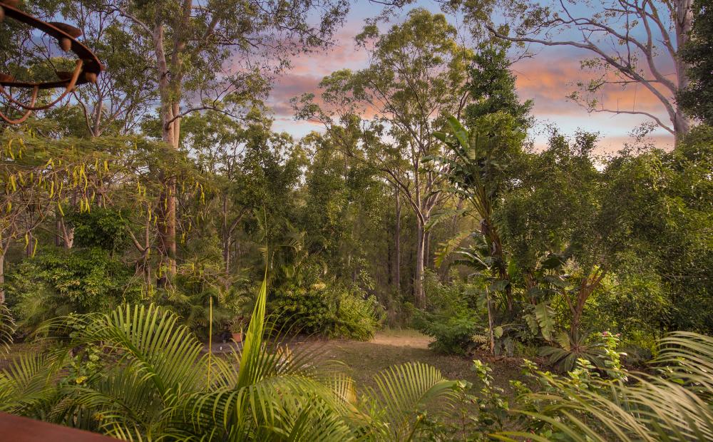 29-35 Chianina Ct, Tamborine