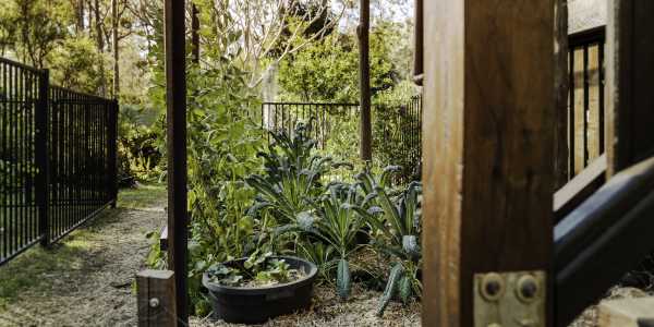 J.L testimonial image