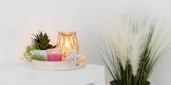 Rachita Narula Shahi testimonial image