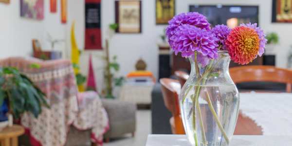 Nita Glen testimonial image