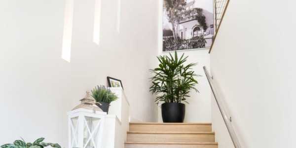 Bluebird Pitcher testimonial image