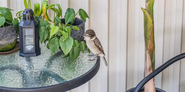 Michael testimonial image