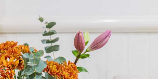 Nicky testimonial image