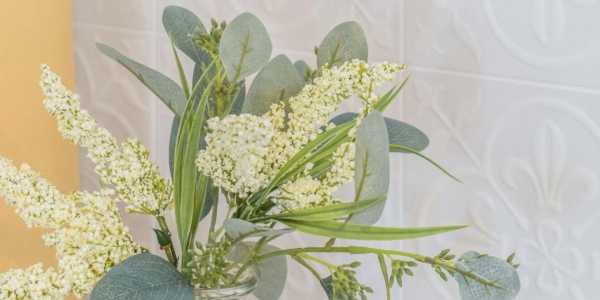 Jake McCallum testimonial image