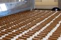 Food Manufacturing and Wholesale Business for Sale on the Gold Coast