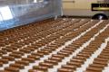 Food Manufacturing and Wholesale Business for Sale