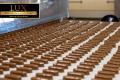Food Manufacturing and Wholesale Business for Sale