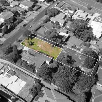 Mr Sandy testimonial image