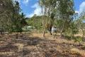 600m2 sloping lot with established trees