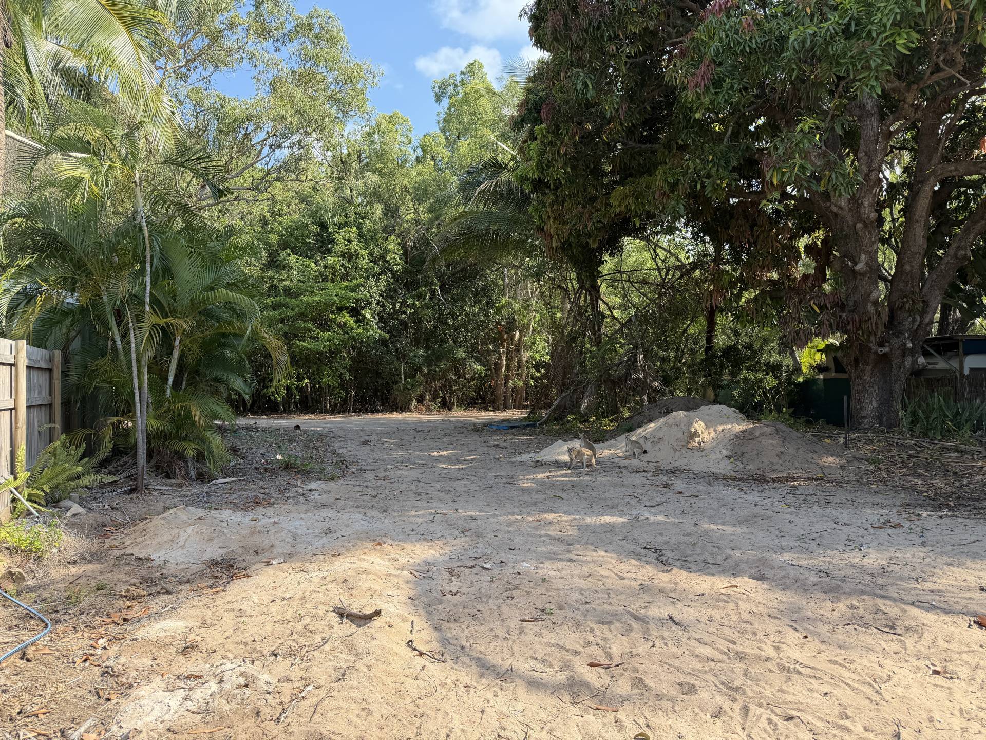 44 Henry Lawson St, Horseshoe Bay - Thumbnail 5