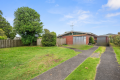 Golden Opportunity In Orewa