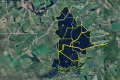 Alpine Forest - Strategic Forestry and Carbon Investment Asset