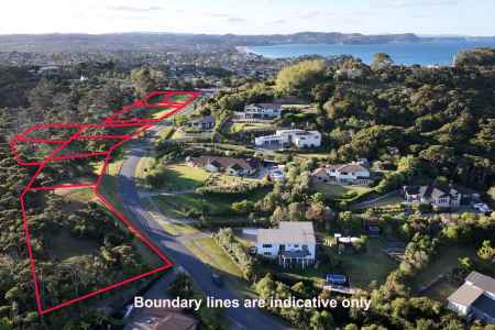 Premium Weiti River Outlook With RC Approved